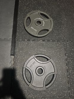 Fitness Gear 35 lb Olympic Weight Plates – Pair