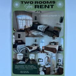 Room Available Now 