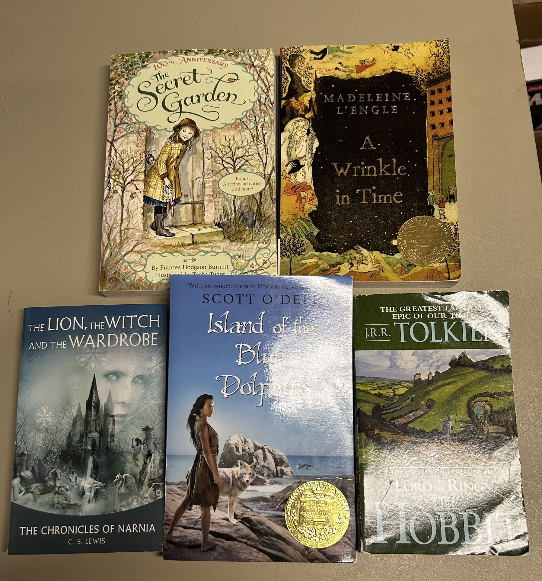 Fantasy themed chapter books bundle