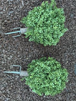 2 Matching 22” Artificial Boxwood