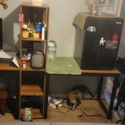 Double Desk With Shelving 100$ Obo