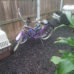 Beach Cruiser & Small Bmx Bikes