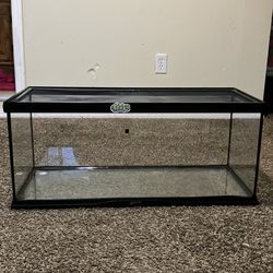 40 gallon zoo med reptile tank/terrarium. Clean.