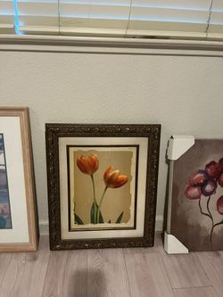 Framed Painting and Canvases- Best offer for all