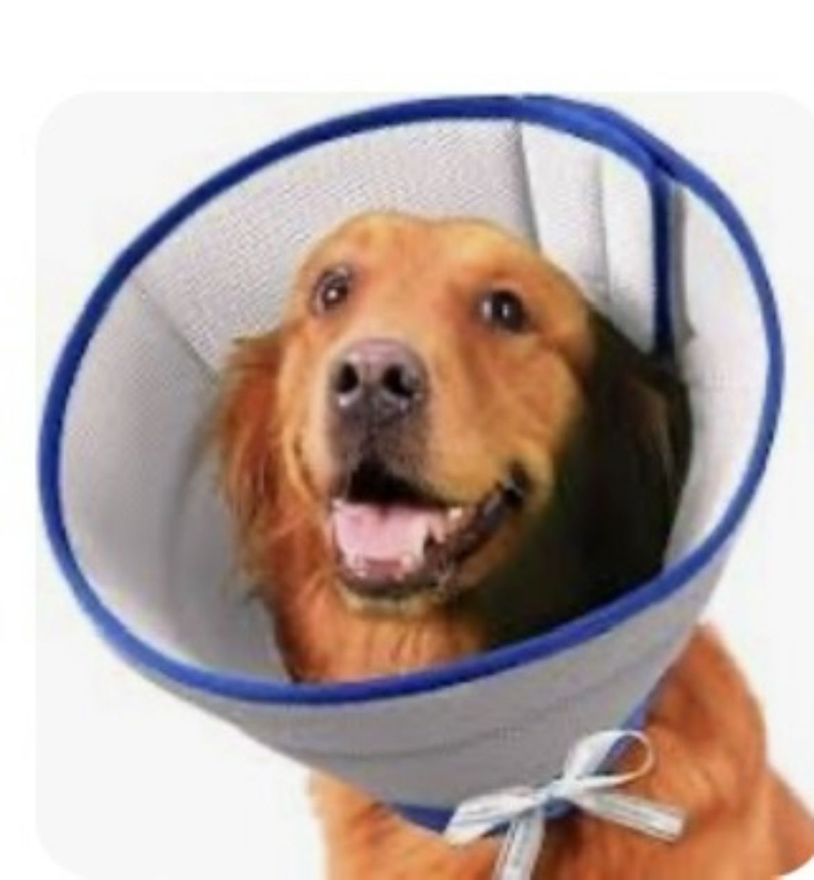 BOOMAKER Dog | Extra Soft, Flexible, And Adjustable Dog Cone Collars | Color: Blue/Grey | Size: Large