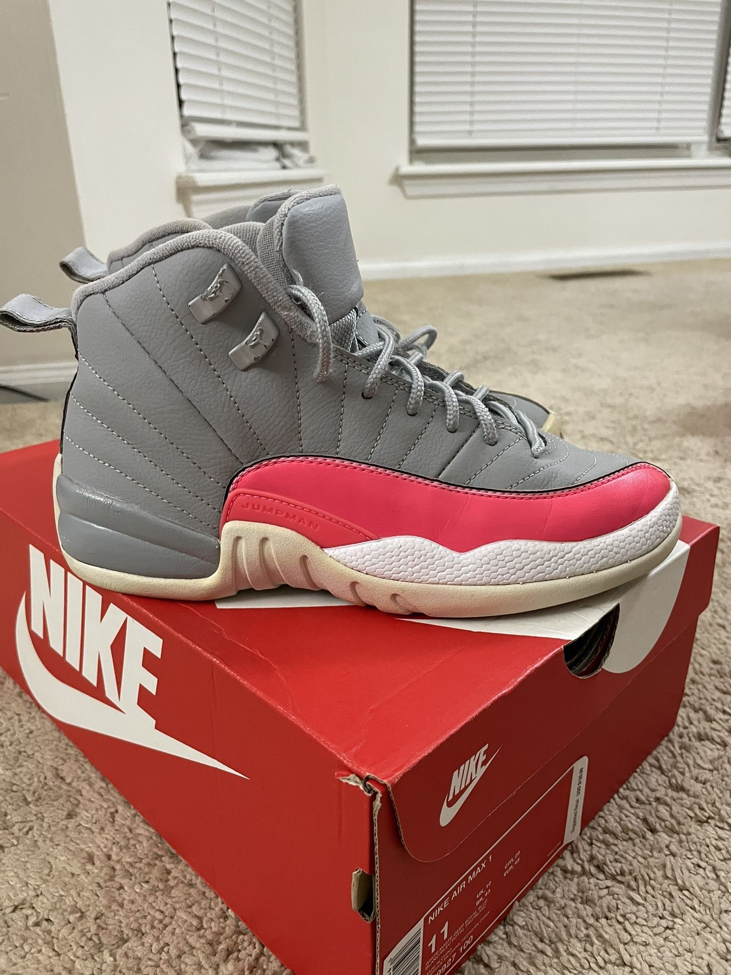 Jordan 12