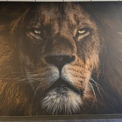 Lion canvas art (large)