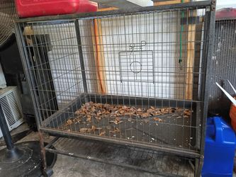 Bird cage
