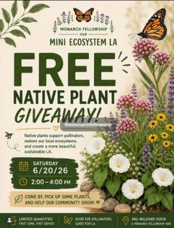 Free milkweed starter kits for monarch butterflies.