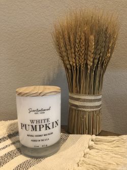 Scentsational White Pumpkin Coconut Wax Candle 11 oz