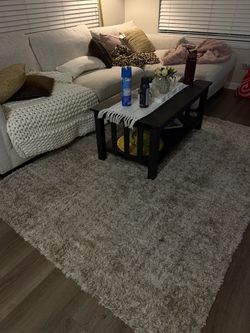 HOMEGOODS living room rug white and nude chic minimalistic size is in pictures
