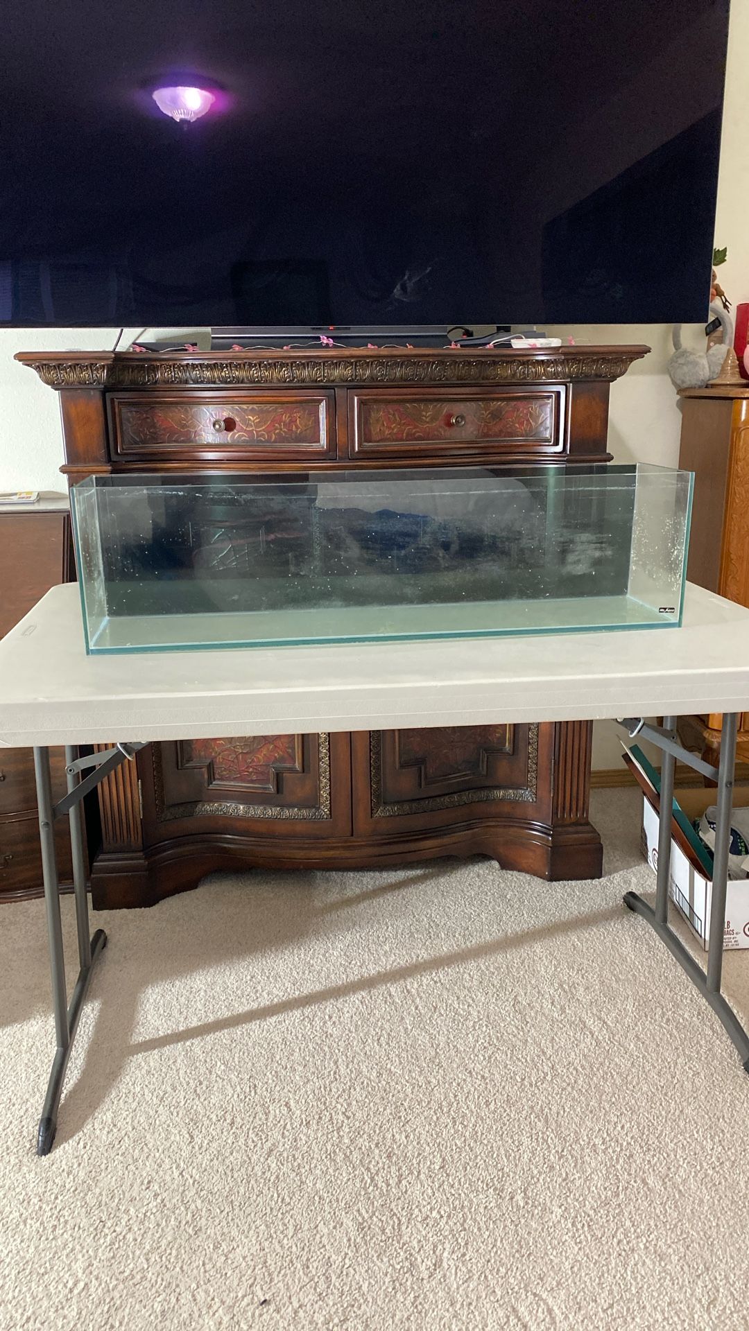 Mr. aqua fish tank