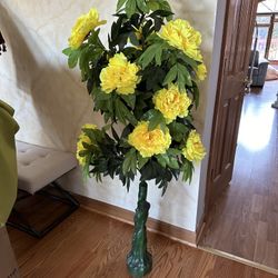 Decor Plant