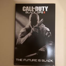 Call Of Duty Black Opps11
