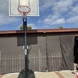 Basketball 🏀 Hoop