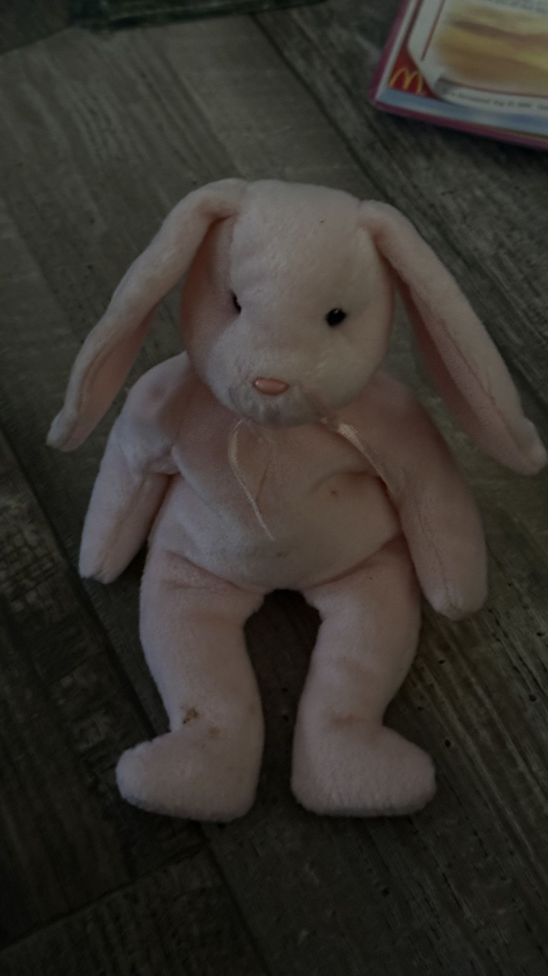Hoppipity The TY Beanie Baby