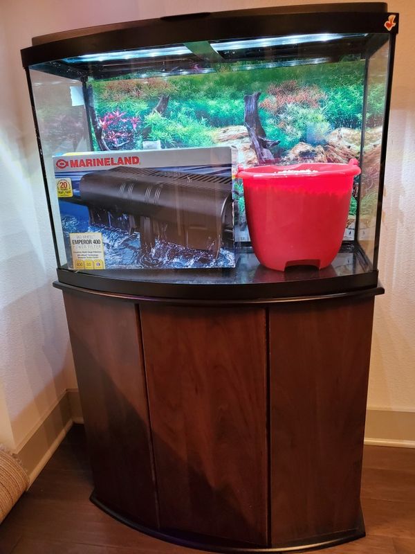 Bowfront Aquarium & Stand Ensemble 36 Gallon + Marineland Power Filter