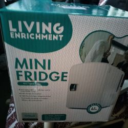 Mini Fridge