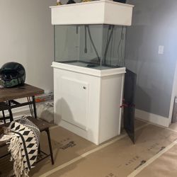 Fish Tank 