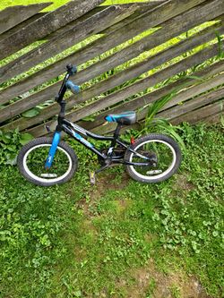 Blue kids bike.
