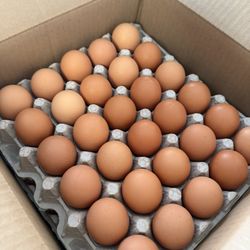 Farm Fresh Brown Extra Large AA Eggs 180