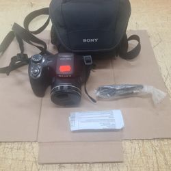 Sony Cyber-Shot DSC-H300 Digital Camera (Black) (DSCH300/B)