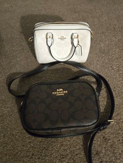 02 Mini crossbody coach