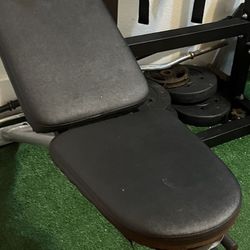 Bench Press With Weight Bar And 10lb Each Side 