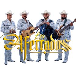 Norteño Accordion 🪗 Grupo