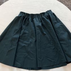 Zara Skirt 