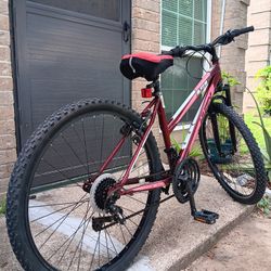 Bisicleta Para Adulto Rodada 26"