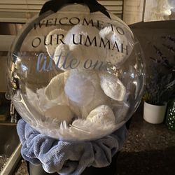 Ballon With Bear Inside 