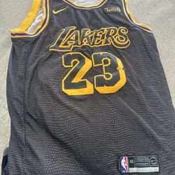 Lakers LeBron James Sz 48