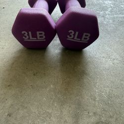 3 Pound Dumbell Weight Set 