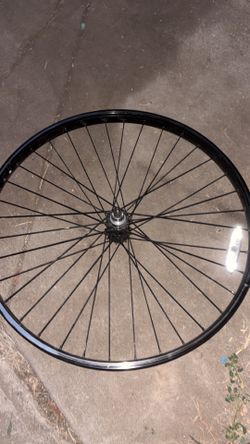 29 inch rim back rim