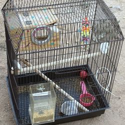 Bird Cage 