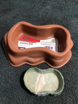 Reptiles dishes
