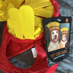 Pet Costume