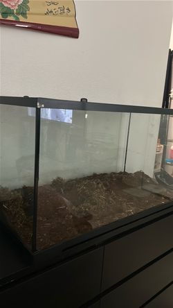 Reptile tank