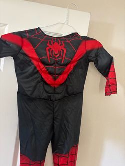 Spidey and amazing friends costume