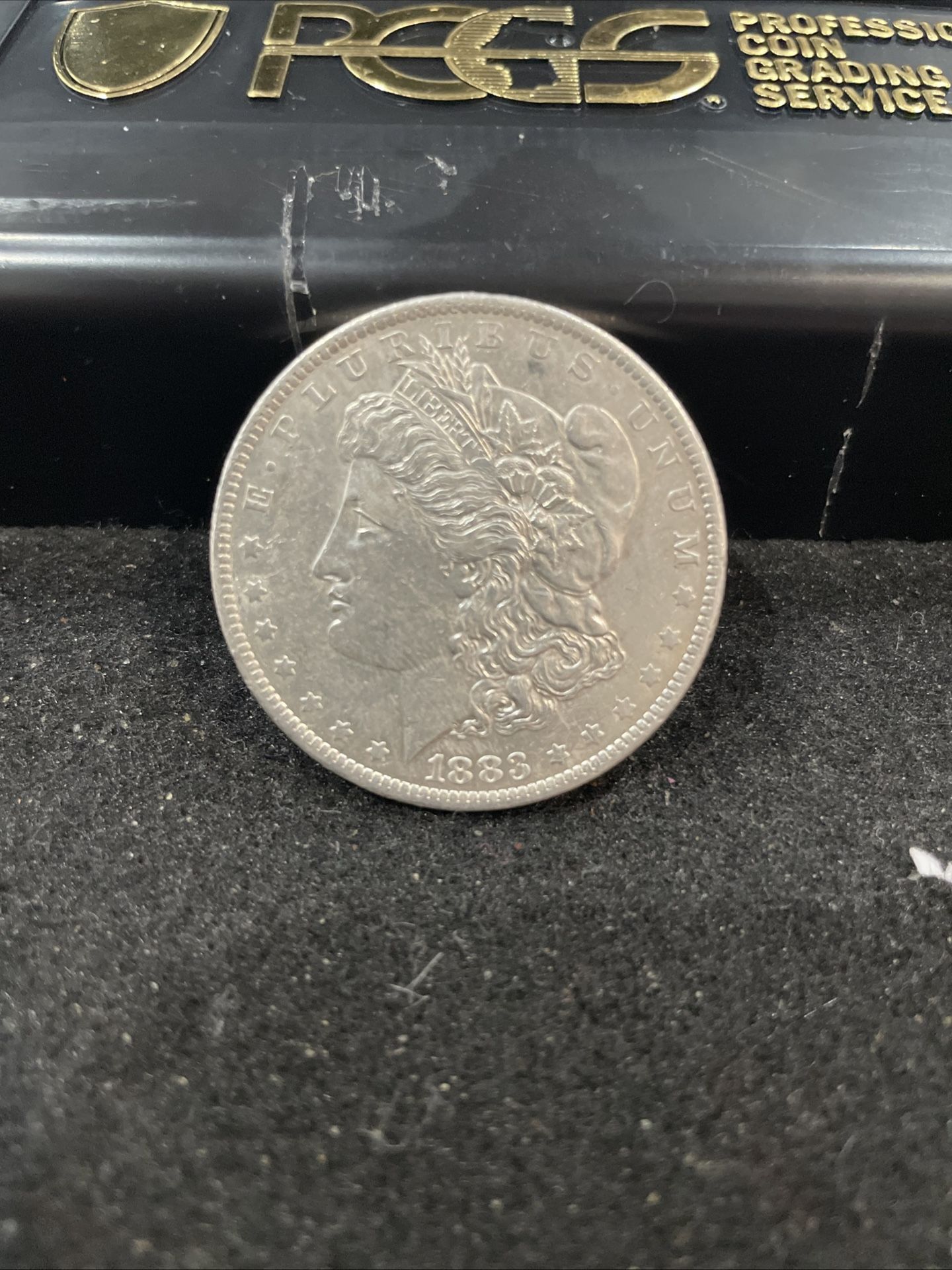 1883 Silver Lightly Circulated Morgan Dollar 247