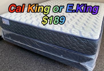 King supreme ortho Matres!