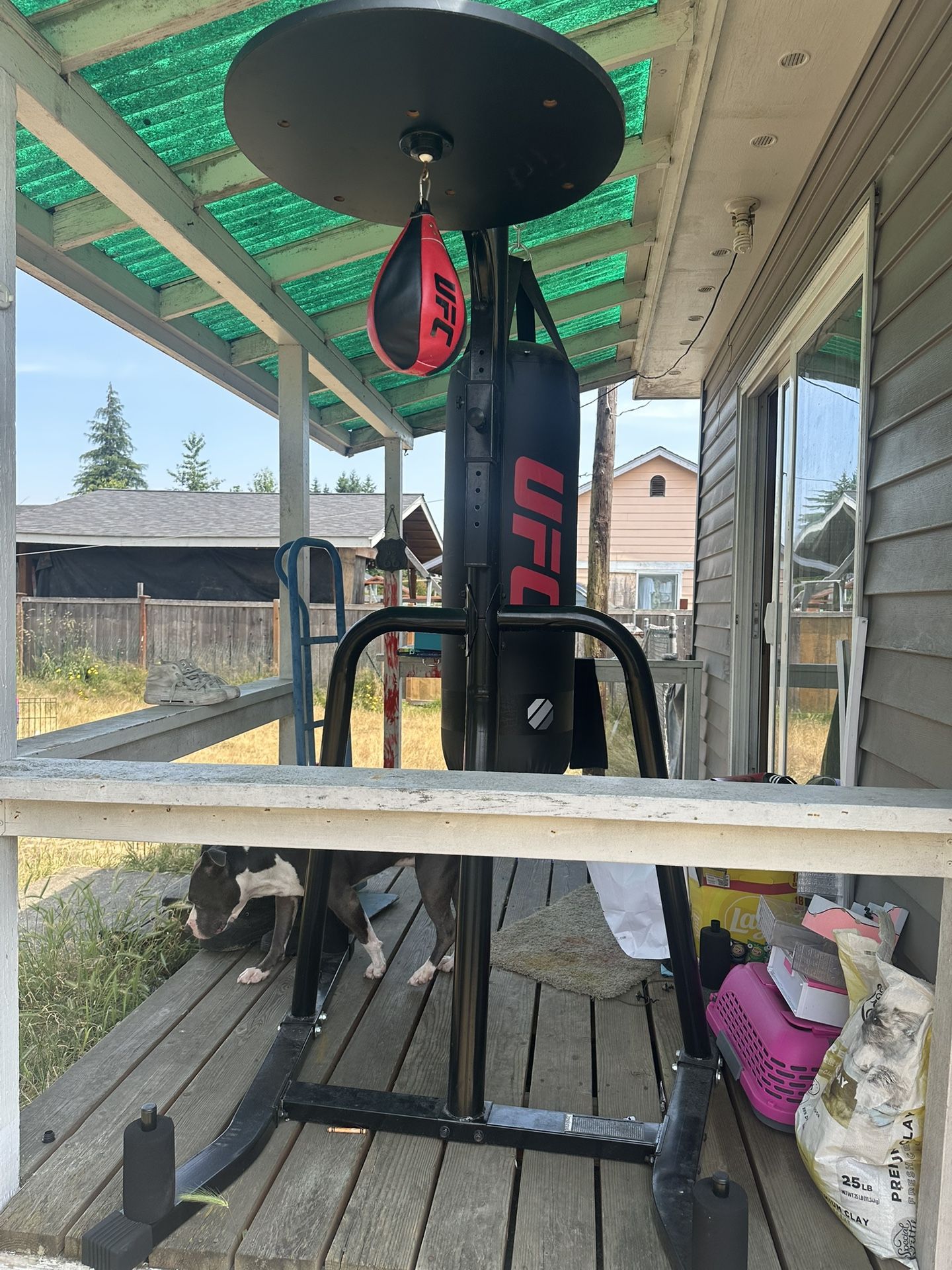Punching Bag, Never Used