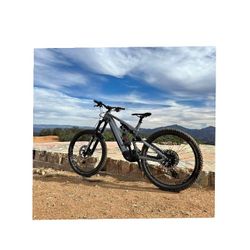 E-Bike Selection - Find Your Ultimate Ride artist animal