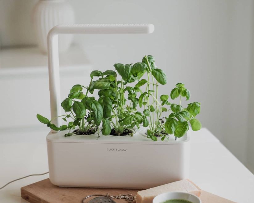 Smart Home Plant - Click And Grow