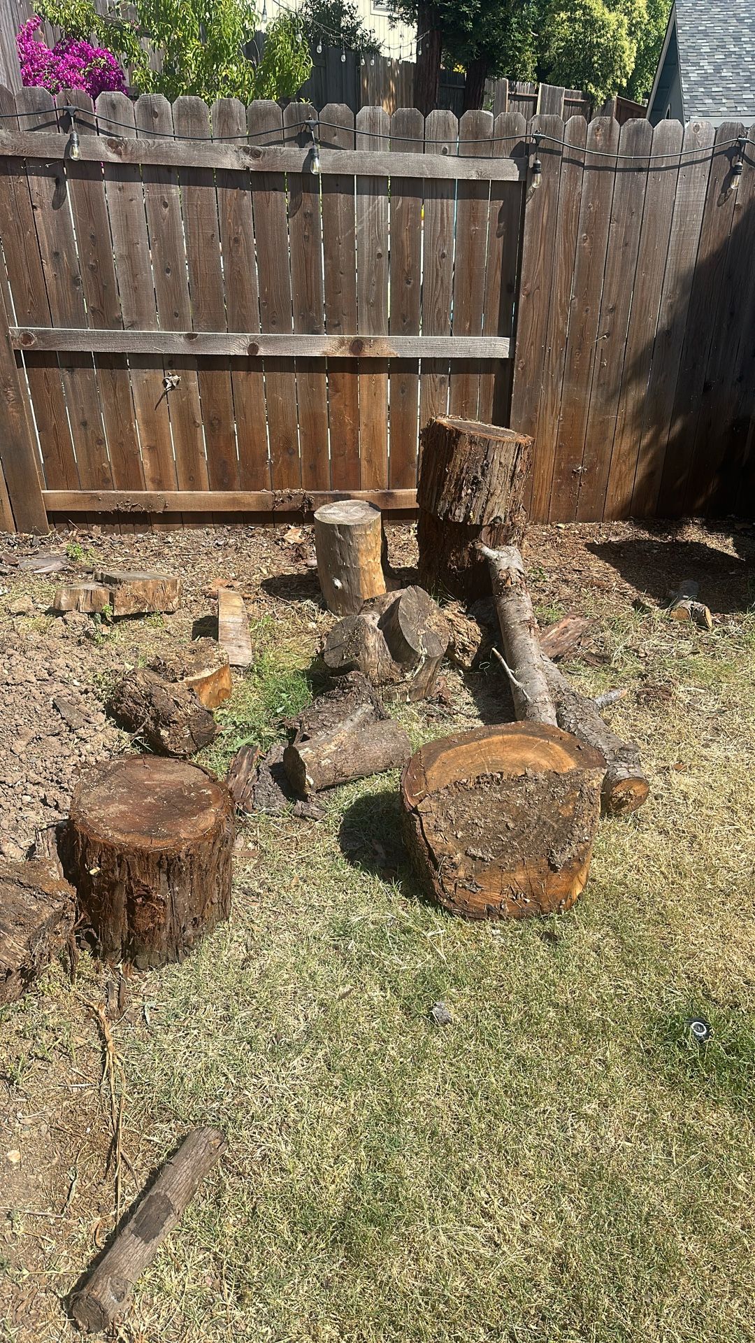Free Firewood