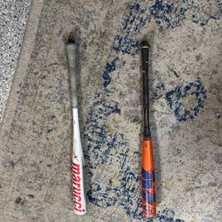 baseball bats (Cat 10 & meta)