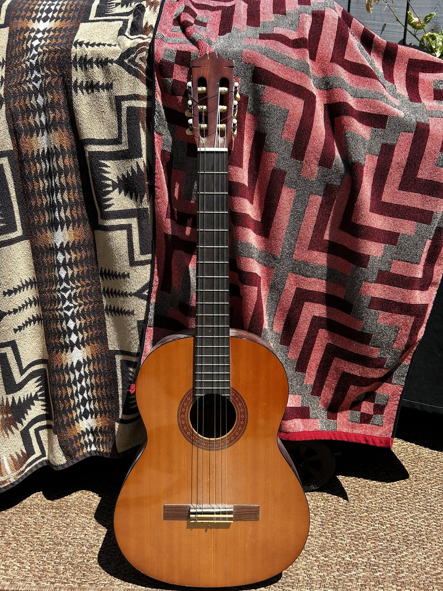 Acoustic Guitar Yamaha C40