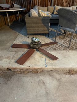 Fan