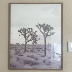 Joshua Tree Framed Print 